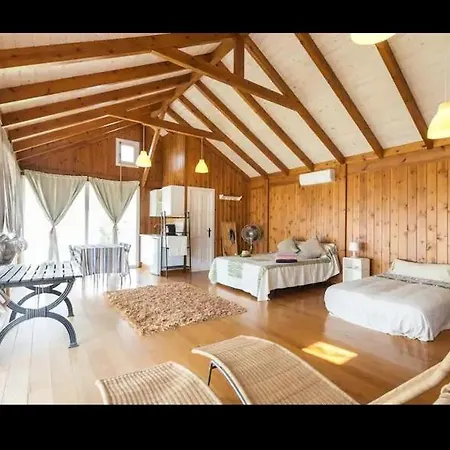 Casas Lionel *